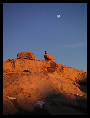 CATCHING THE LAST LIGHT
