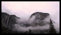 EL CAP CLIMBS OUT OF THE CLOUDS