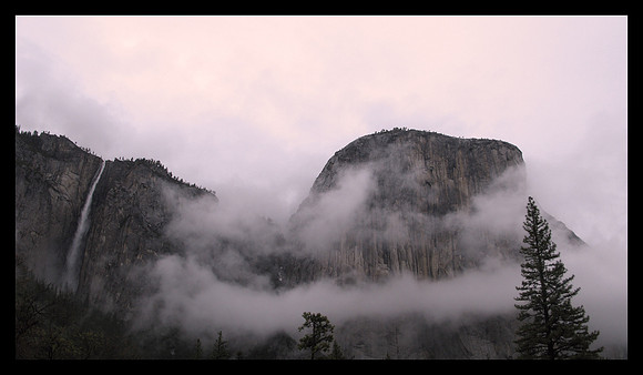 EL CAP CLIMBS OUT OF THE CLOUDS